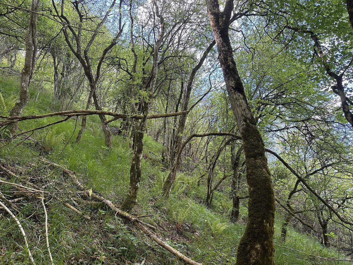 The Confluence from 10m Distance