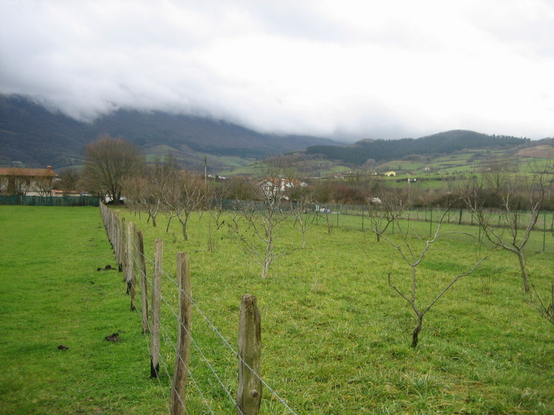 Oeste / West