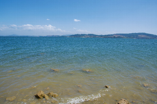#1: Looking Southeast from the shoreline towards the confluence point, 245m away