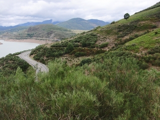 #1: Overview - confluence in the middle of the shrub at the bottom of the picture