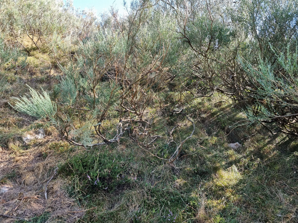 Confluencia N43 W5 / Overview of the confluence