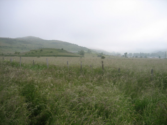 NORTE