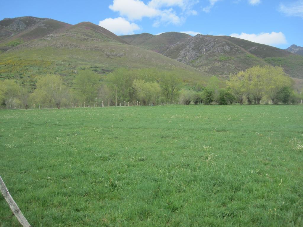 Westen; view west