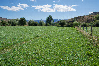 #3: View South (towards the gravel road, 65m away)