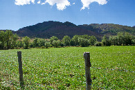#4: View West