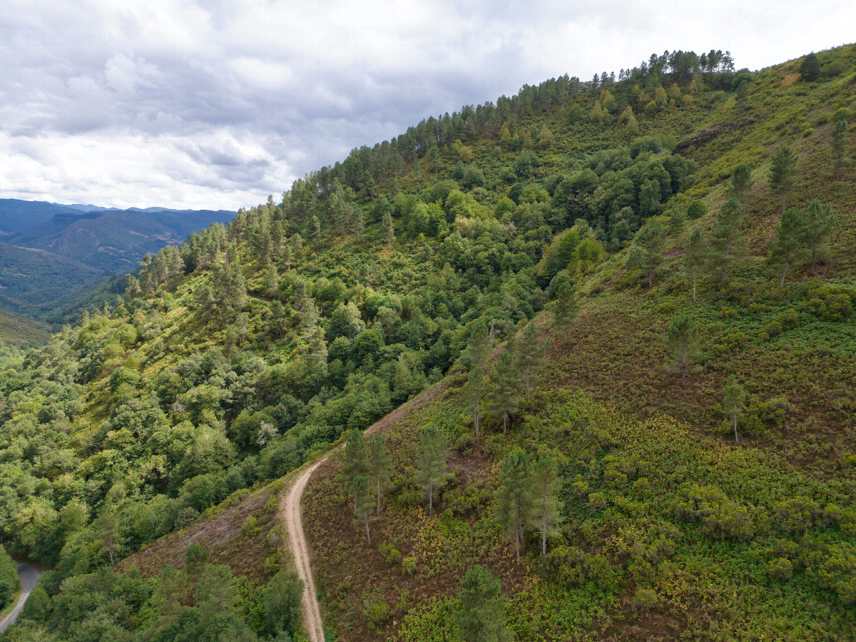 View South, from 120m above the point
