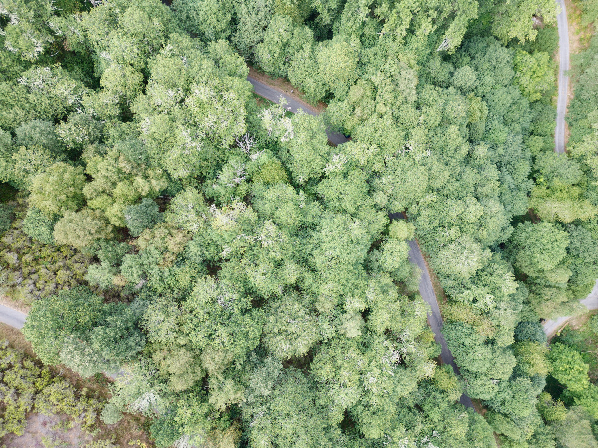Looking down on the point from a height of 120m