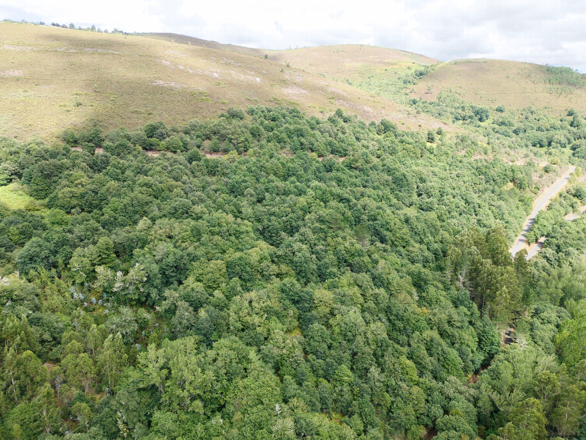 View East, from 120m above the point