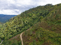 #10: View South, from 120m above the point