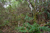 #3: View South