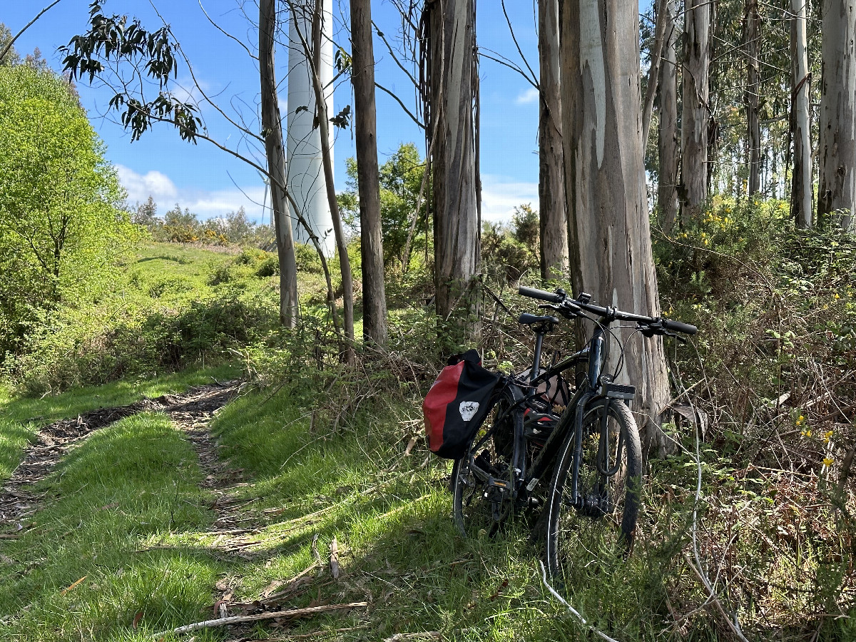 Bicycle Parking at the Confluence