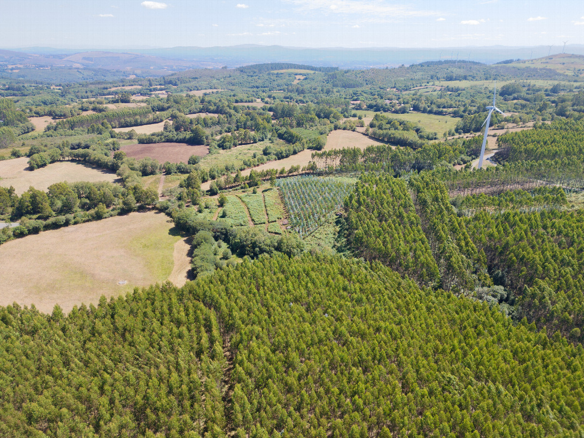 View South, from 120m above the point