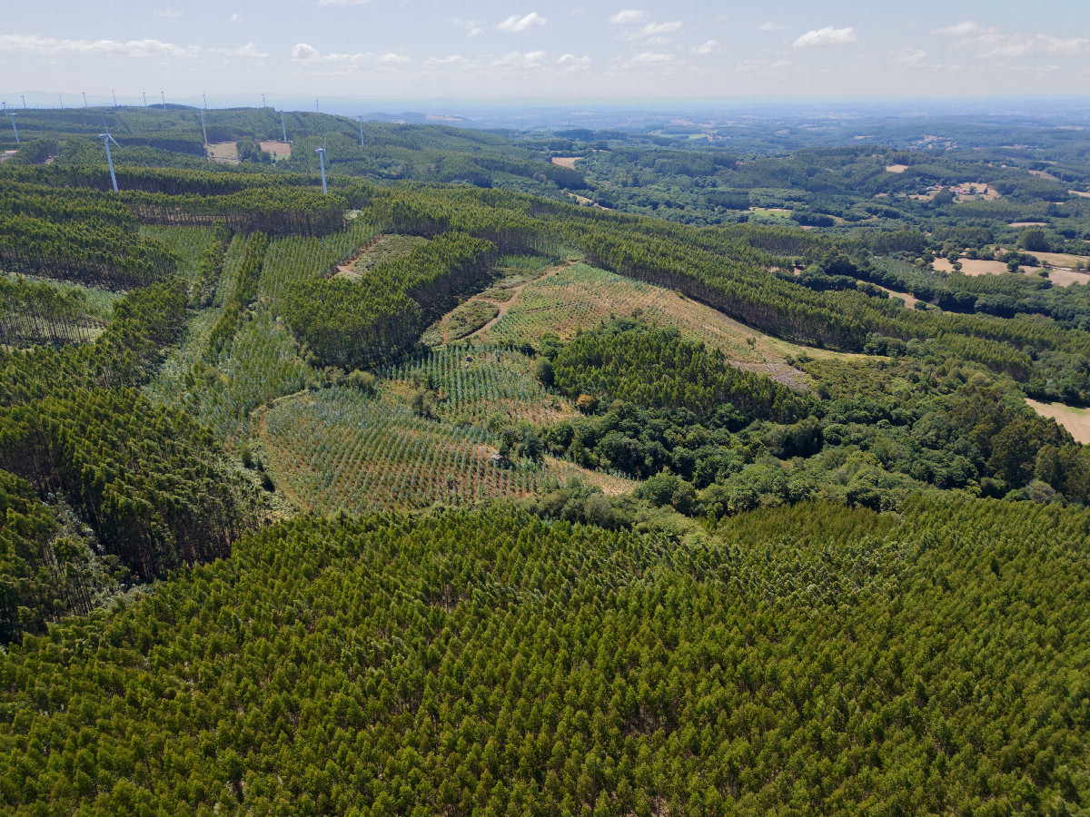 View West, from 120m above the point