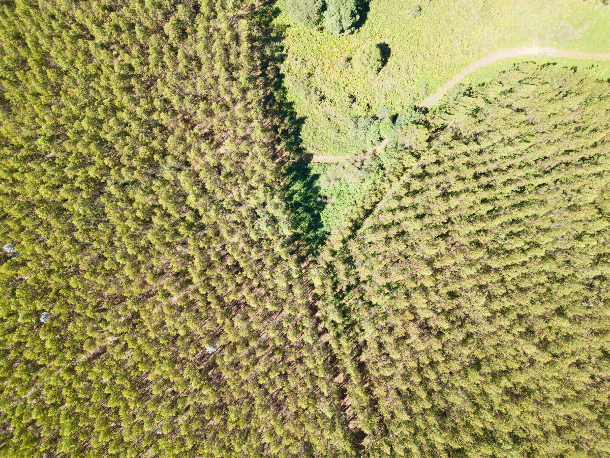 Looking down on the point from a height of 120m