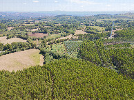 #10: View South, from 120m above the point