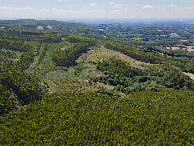 #11: View West, from 120m above the point