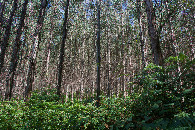 #2: View East