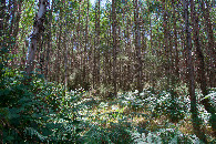 #3: View South