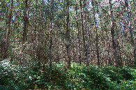 #4: View West