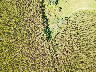 #7: Looking down on the point from a height of 120m