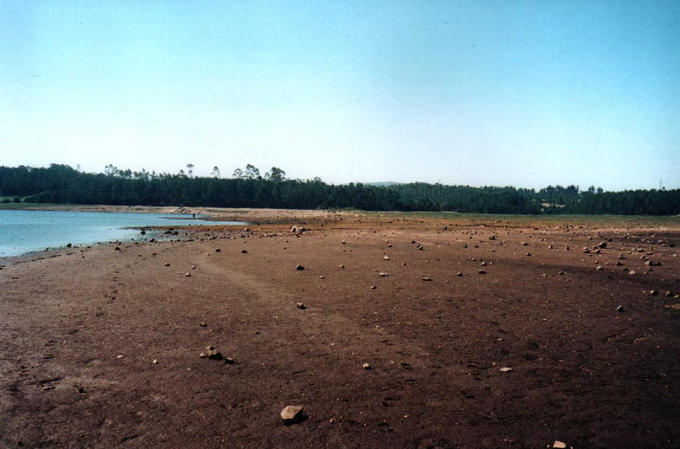 At the lakeside looking west.