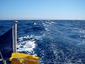 #5: Towards East