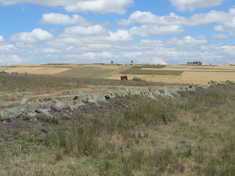 View from the Confluence North