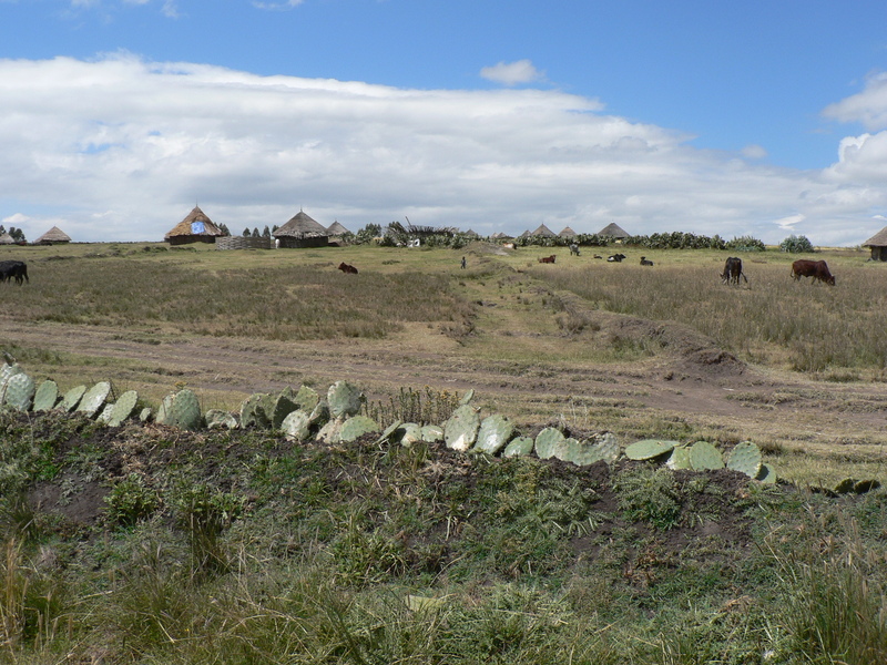 View from the Confluence West