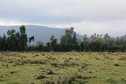 #3: View from the Confluence towards the South