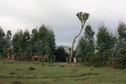 #4: View from the Confluence towards the West