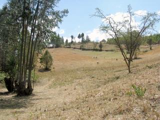 #1: The Confluence Point General Area