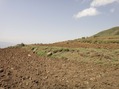 #3: Looking South