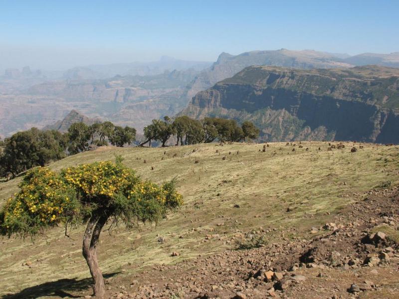 Simēn Mountains