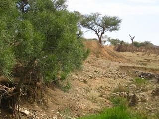 #1: View to the Confluence Point from a distance of 93 m