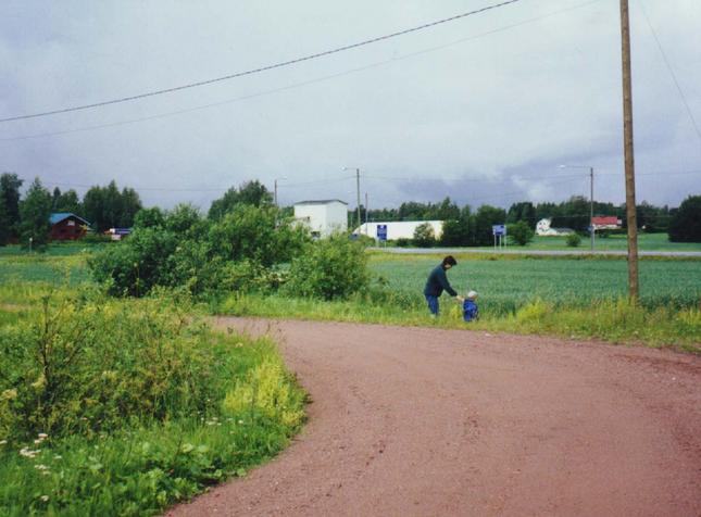 View to west