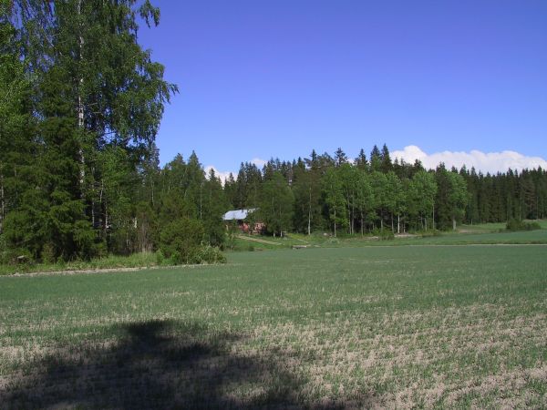 east view