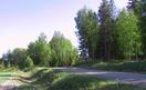 #4: south view