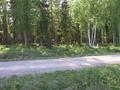 #5: west view