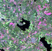 #4: Satellite image of the lake, courtesy of Marcus.