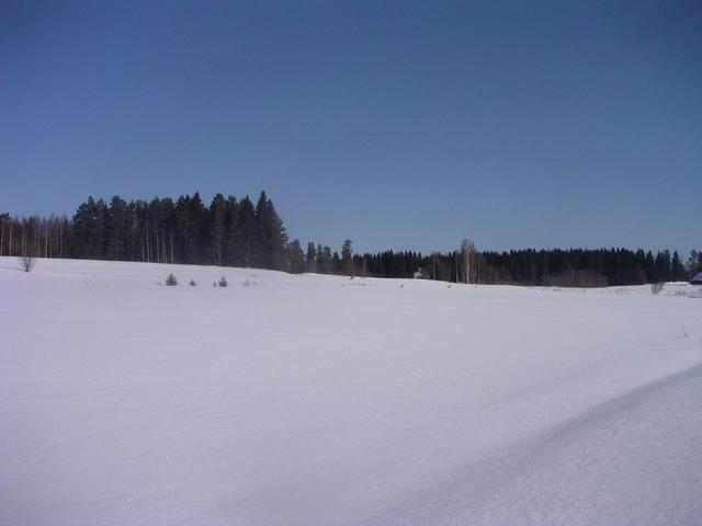 North