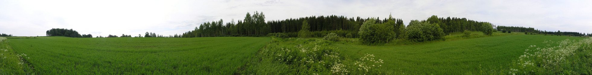 360-degree panorama