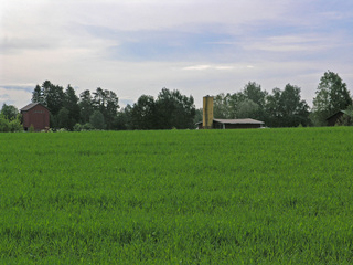 #1: The closest farm buildings, seen from the point