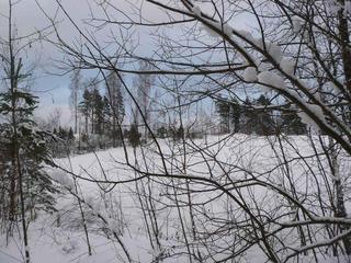 #1: General view to the North