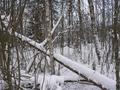 #3: South view