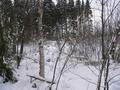#4: West view