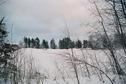 #7: NE view, Ruuhijarvi lake is 200 m from here, behind the hill
