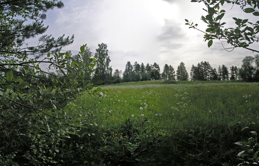 The field 15 m east of the point