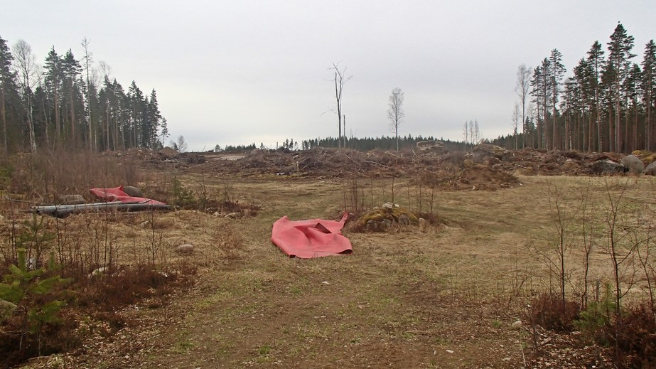 View to the south / Вид на юг