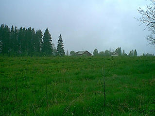 #1: View to the west over old farm field (birch forest to-be).