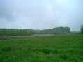 #2: View to the south with some dandelions.